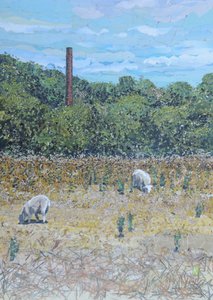 Chemin vers Duffield - Kirstie Adamson